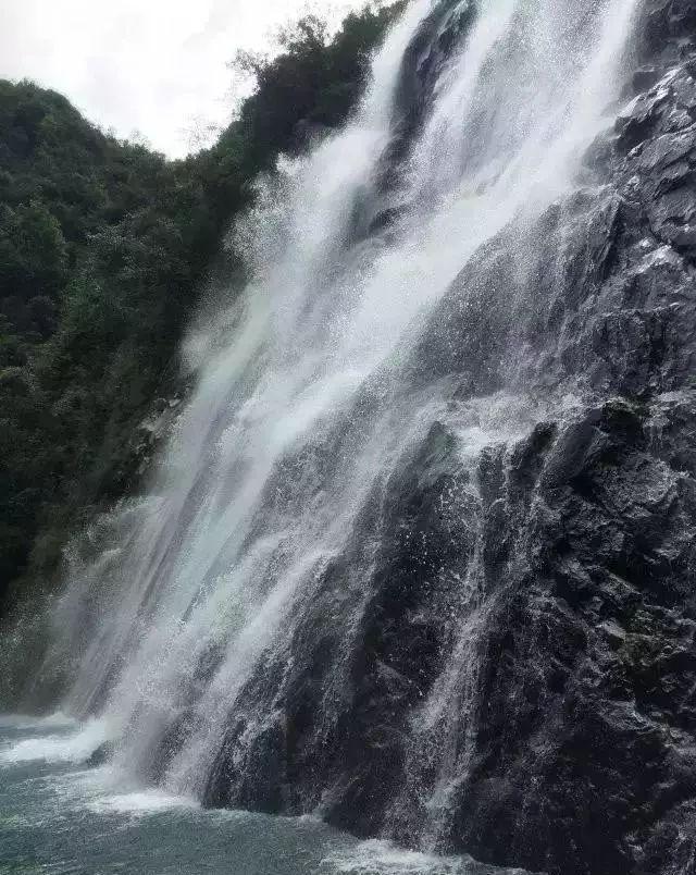 大叔钓鱼